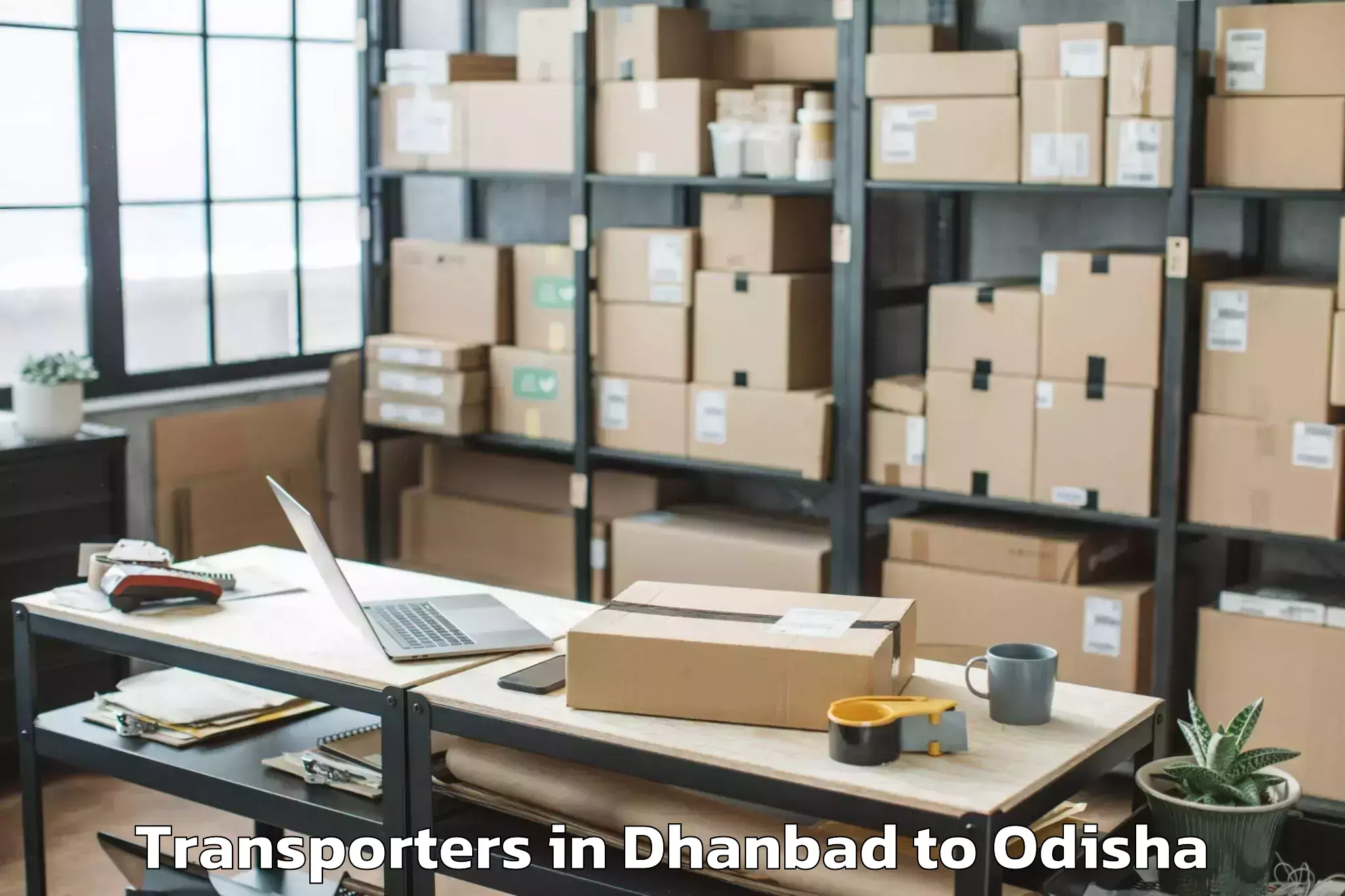 Discover Dhanbad to Nimapara Transporters